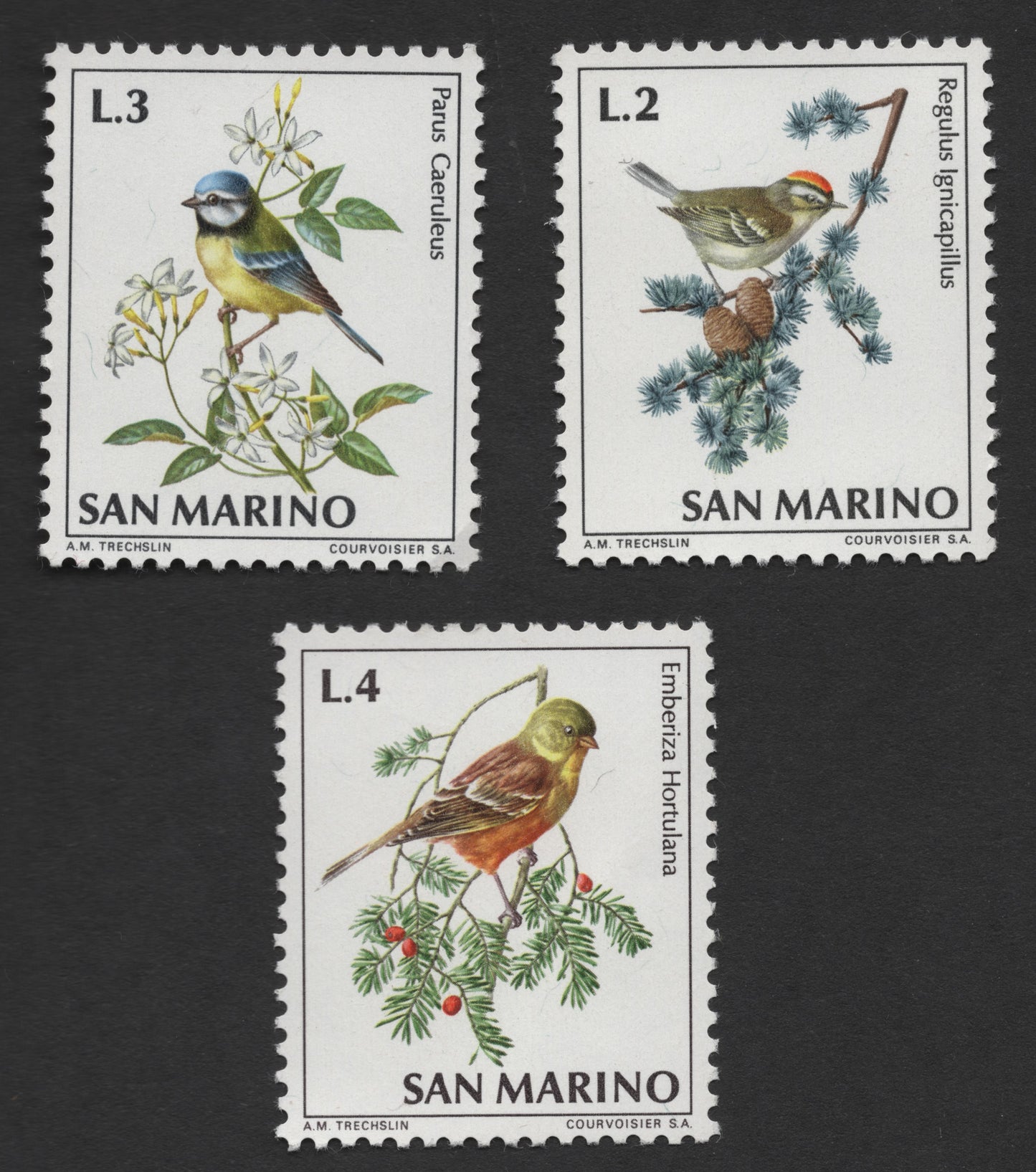 SCG347 - San Marino 3-Value Bird Series – Illustrated by A.M. Trechslin (MNH)