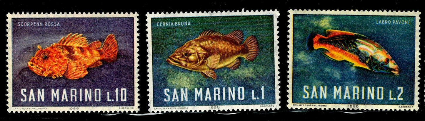 SCG126 San Marino Marine Fish Stamp Set – Scorpaena, Grouper & Wrasse(1966)