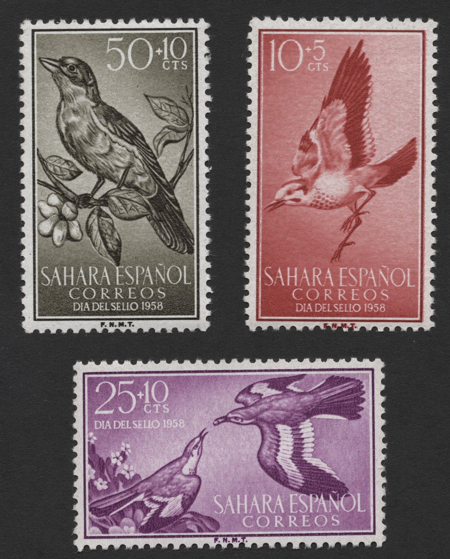 SCG355 - 1958 Spanish Sahara Bird Stamp Set – Día del Sello
