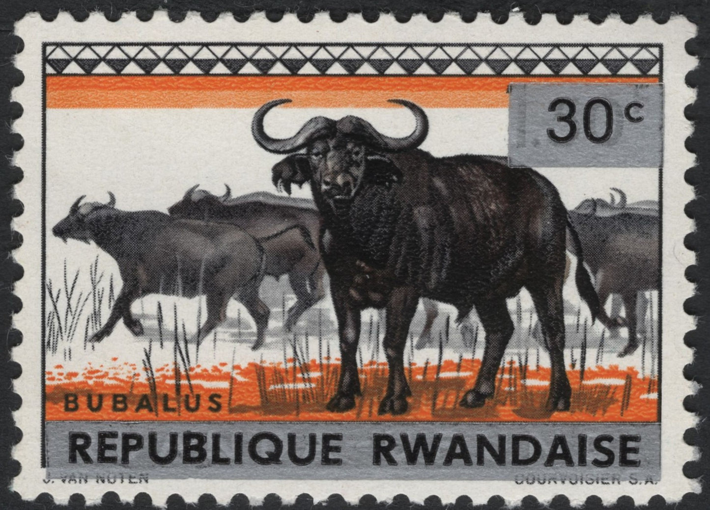 SCG7460 - Rwanda 1966 – African Buffalo (Bubalus)