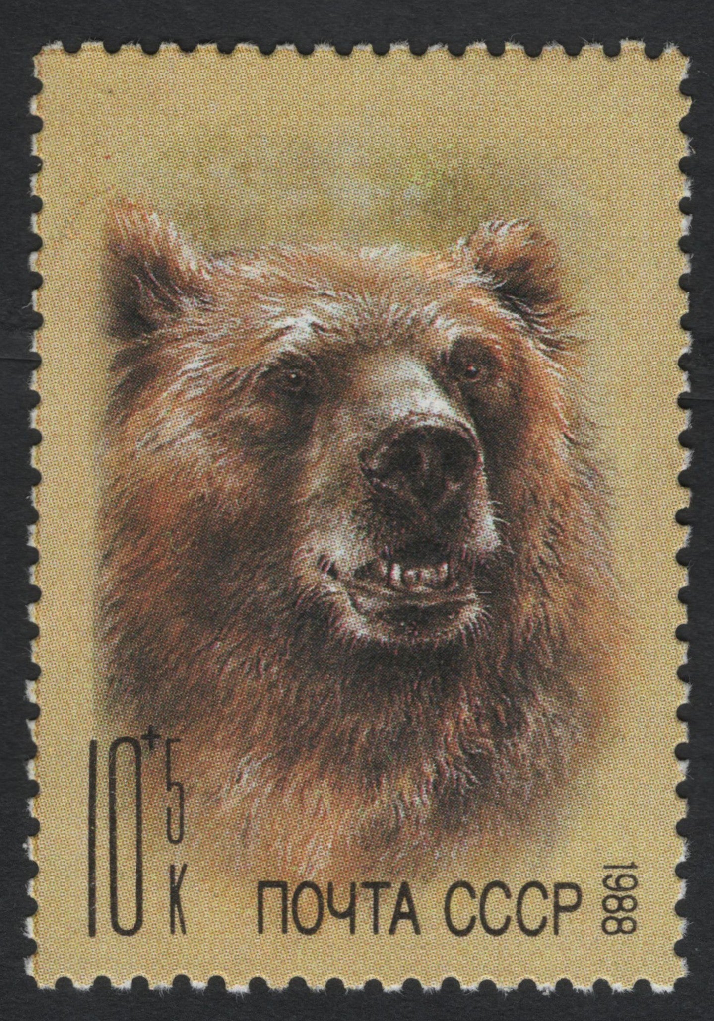 SCG7461 - USSR 1988 – Brown Bear Semi-Postal Stamp