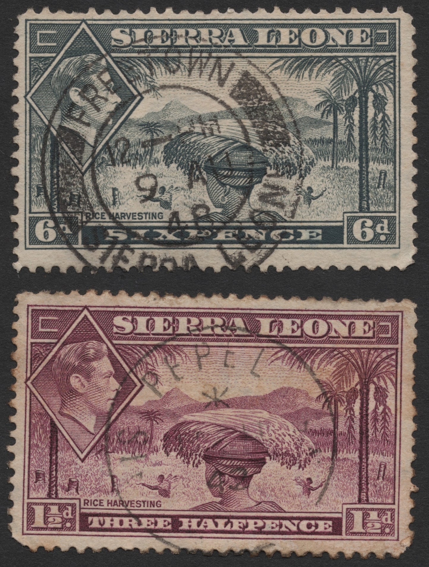SCG726 - Sierra Leone Rice Harvesting Stamps Set