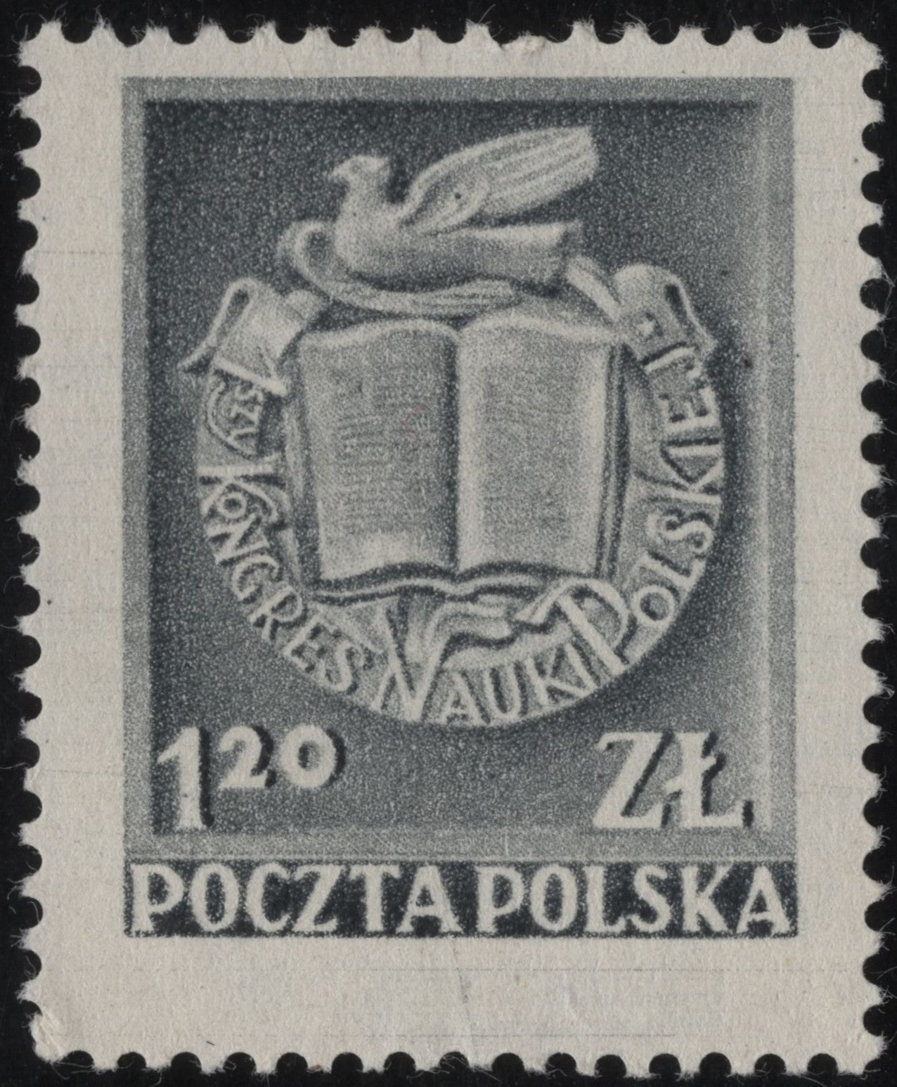 SCG876 - Poland – 1st Congress of Polish Science Stamp