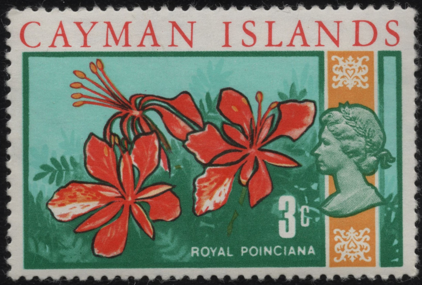 SCG854 - Cayman Islands Royal Poinciana Flower Stamp