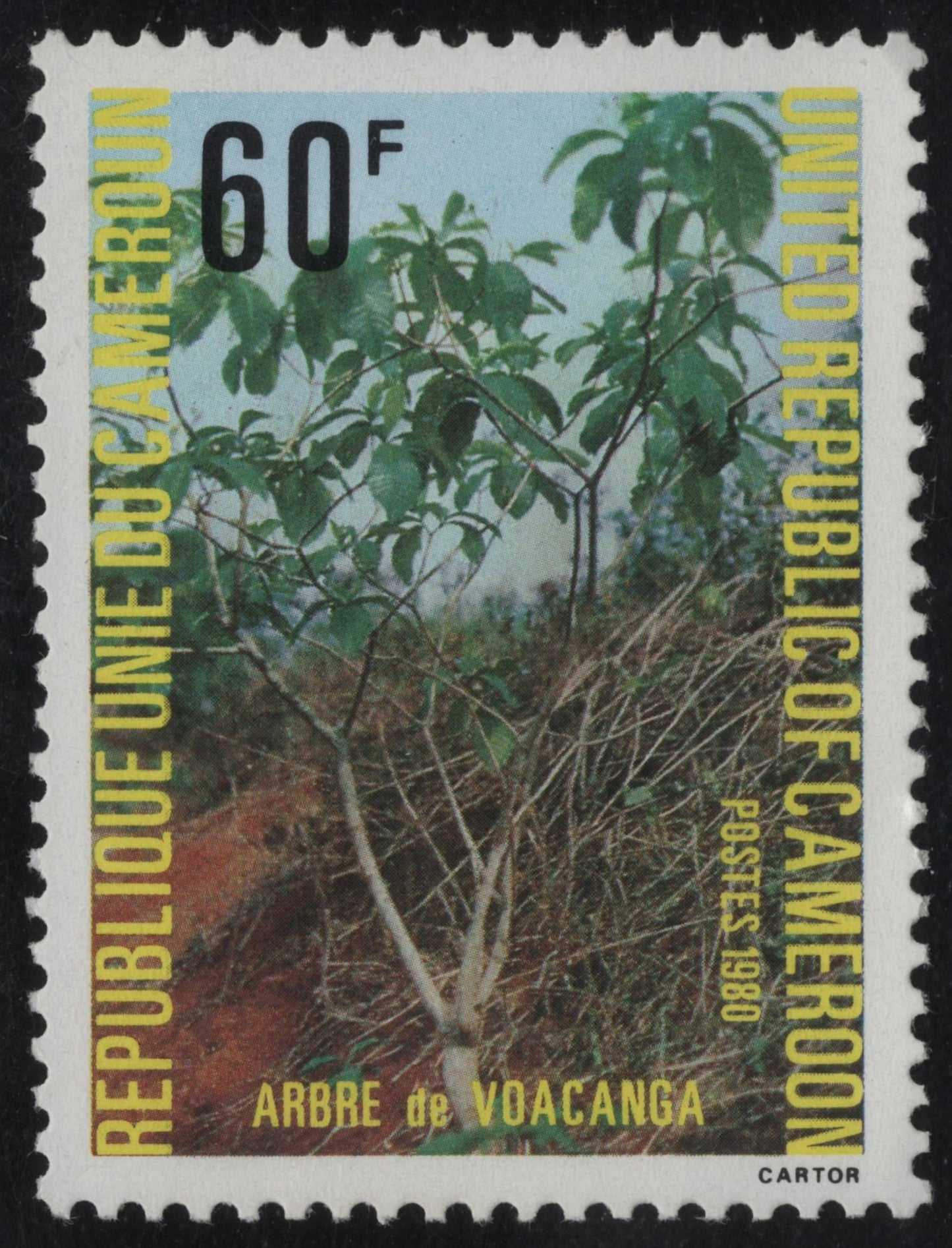 SCG913 - Cameroon 1980 Stamp – Voacanga Tree