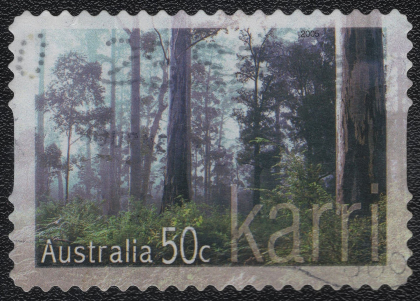 SCG1049 - Karri Forest – Australia 2005 (Used)