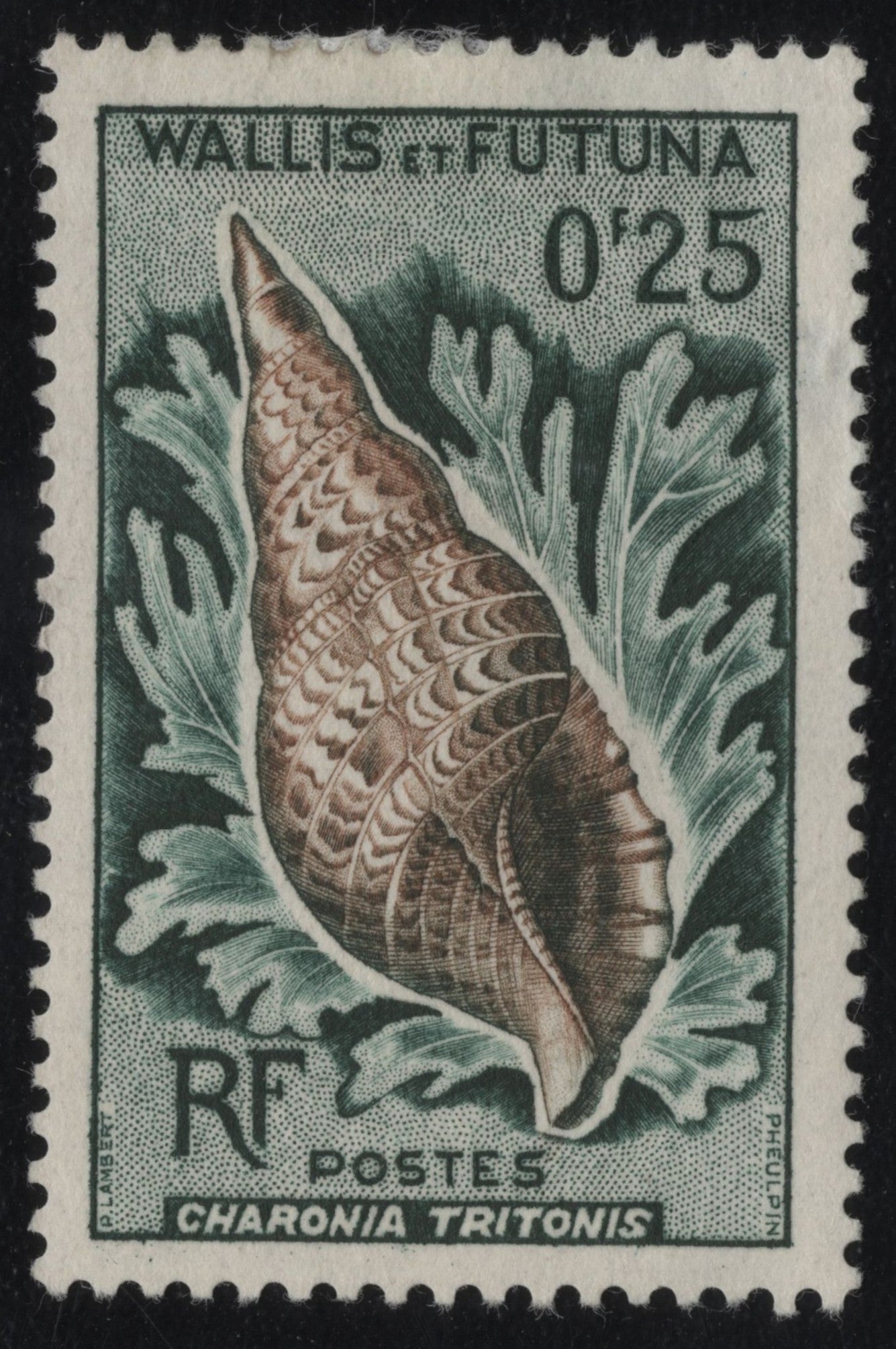 SCG1067 - Wallis and Futuna Sea Shell Stamp