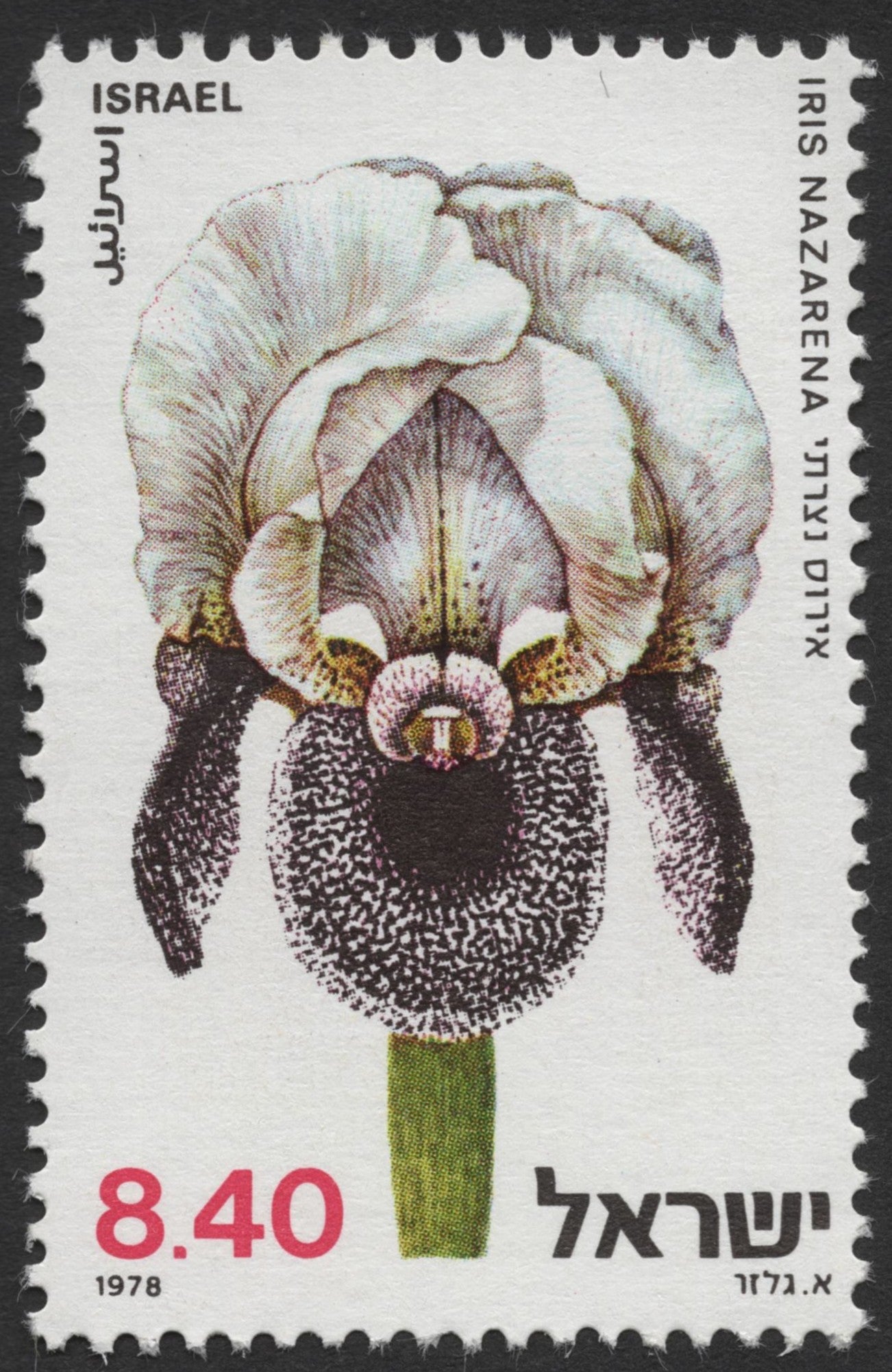 SCG1157 - Israel 1978 Wild Iris Set – Endemic Flowers of the Holy Land
