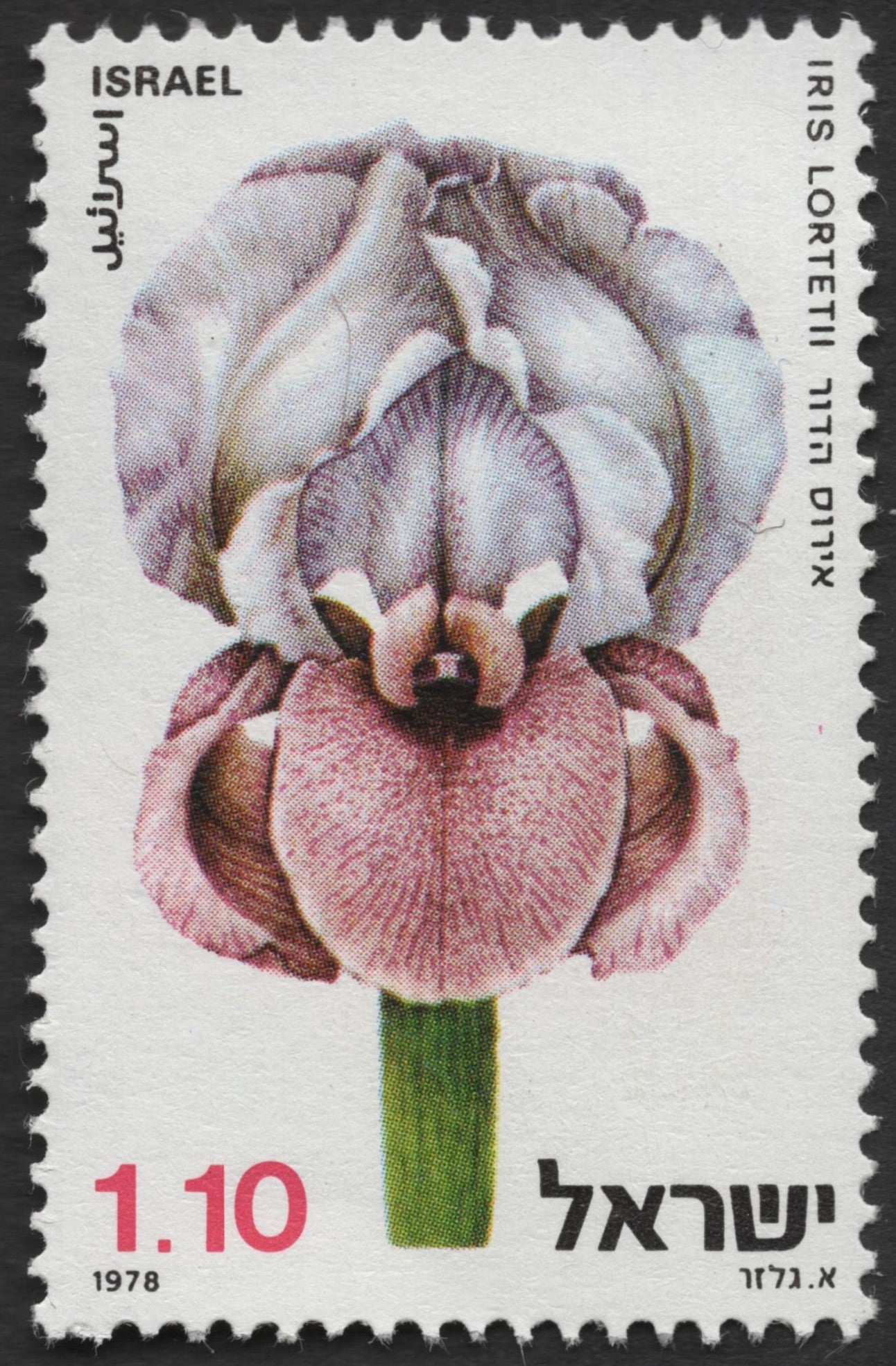SCG1157 - Israel 1978 Wild Iris Set – Endemic Flowers of the Holy Land