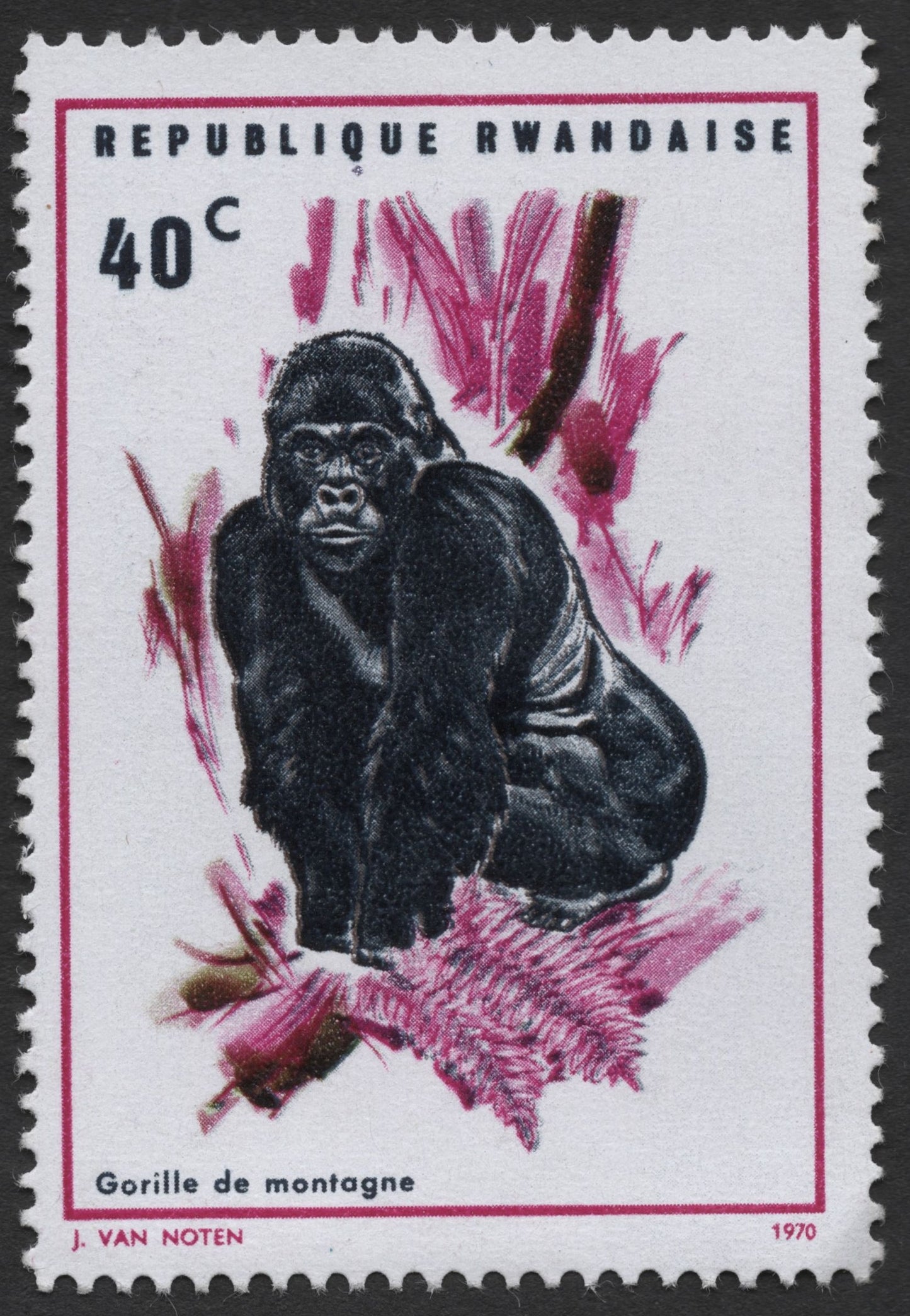 SCG1264 - Rwanda 1970 – Mountain Gorilla Conservation