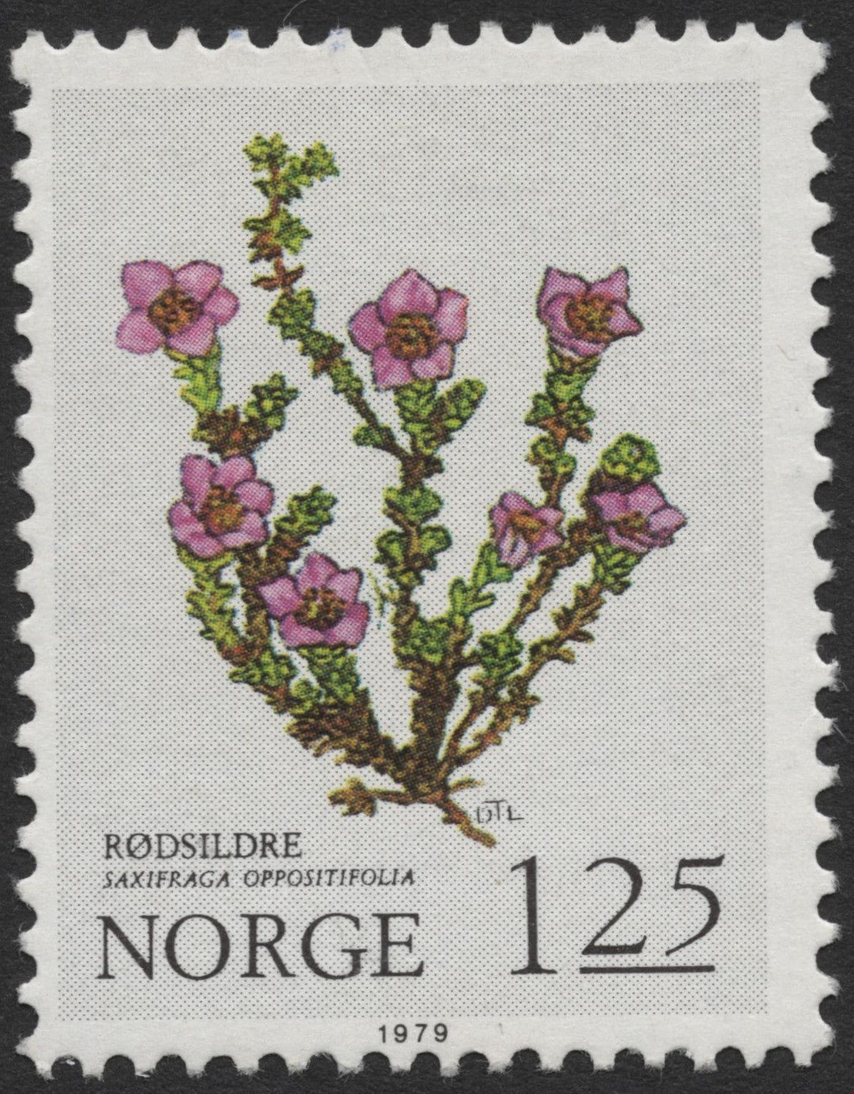SCG1375 - Saxifraga oppositifolia – Norway Wildflower Stamp 1979