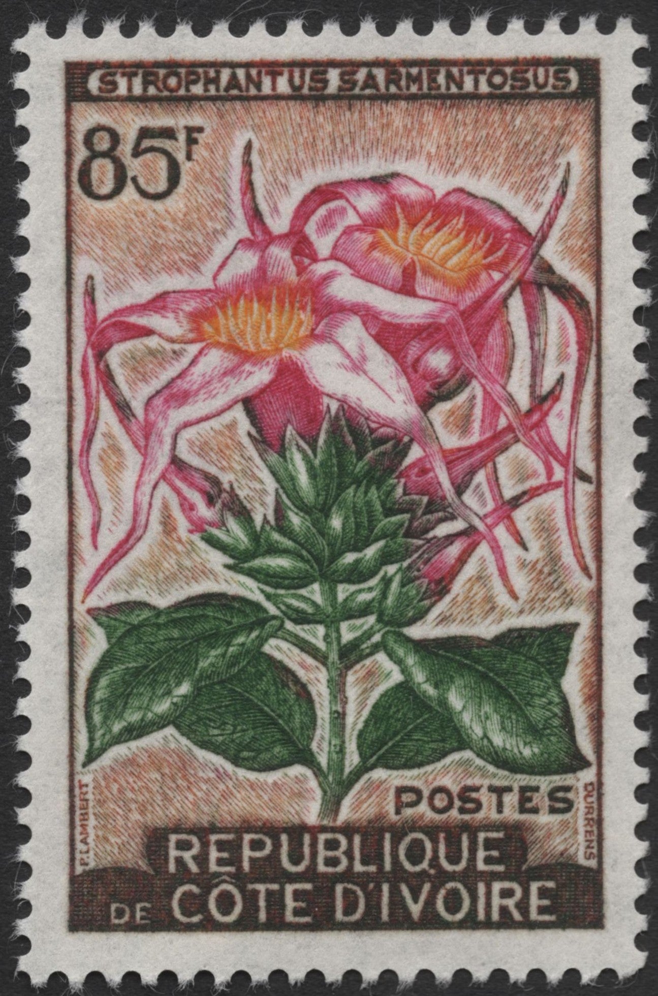 SCG1382 - Côte d'Ivoire 85F Strophanthus Flower Stamp – Strophanthus Sarmentosus