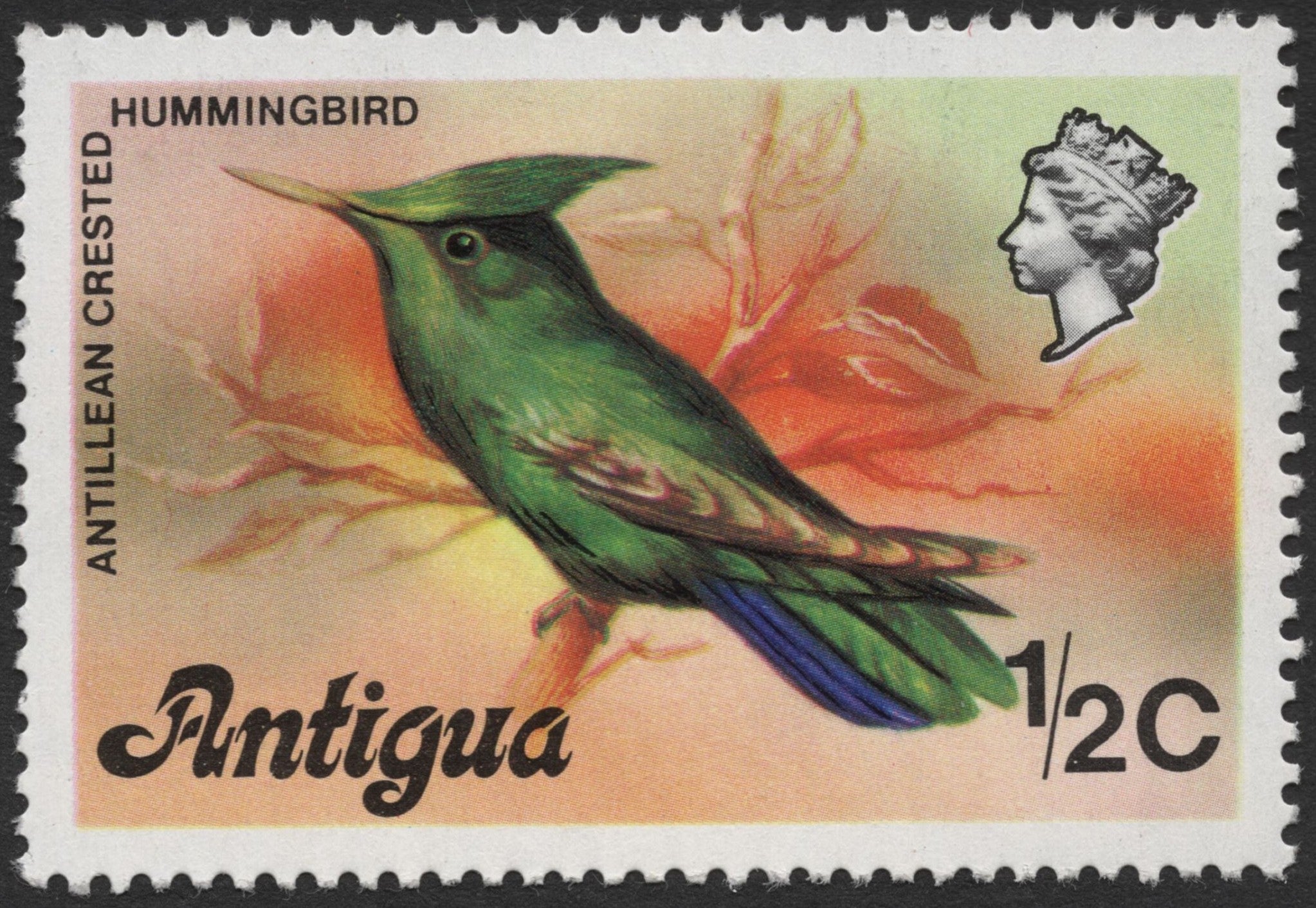 SCG1357 -Antillean Crested Hummingbird – Stamp and Cover Galaxy