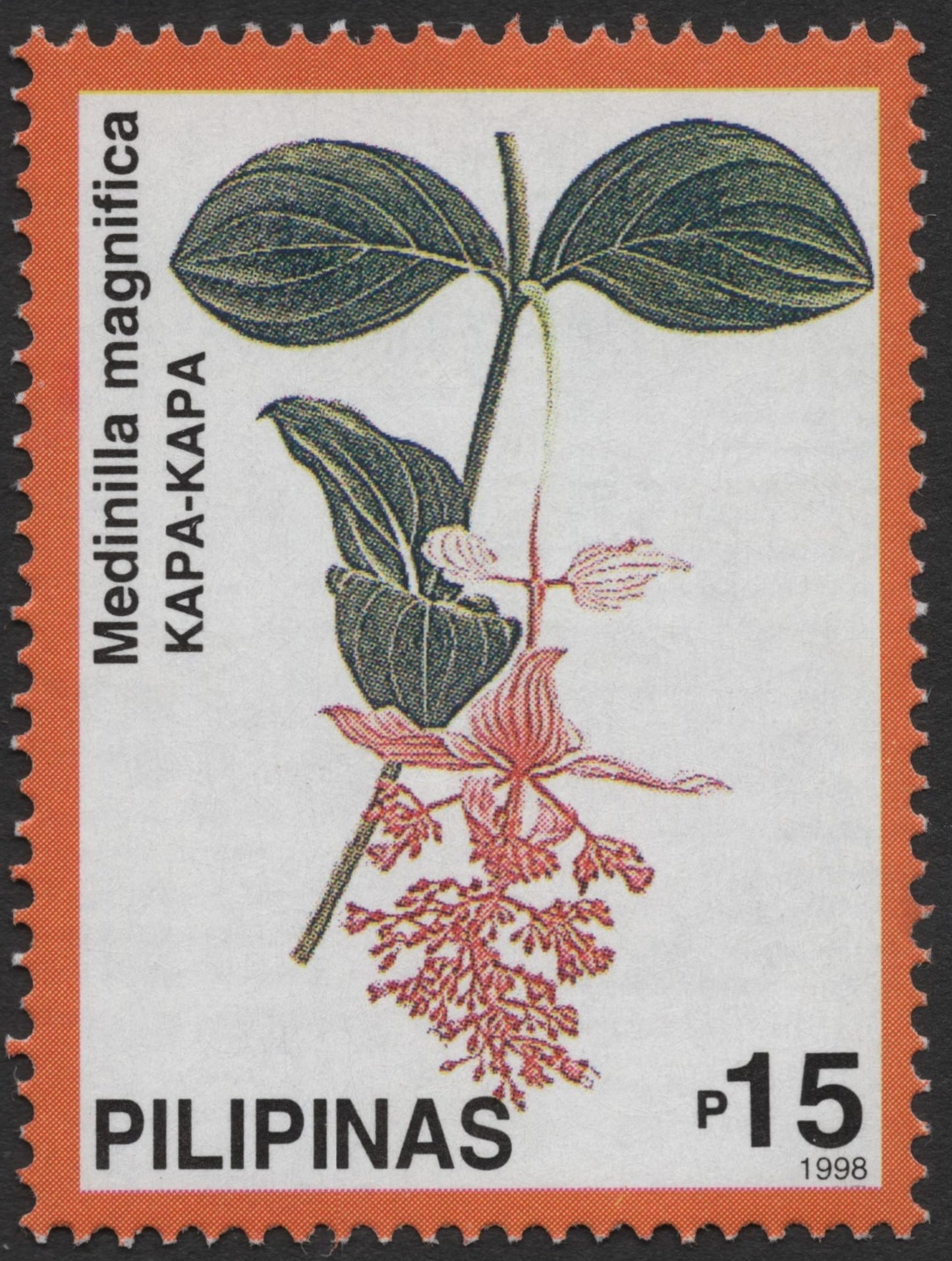 SCG1390 - Philippines 1998 Kapa-Kapa Stamp – Medinilla magnifica