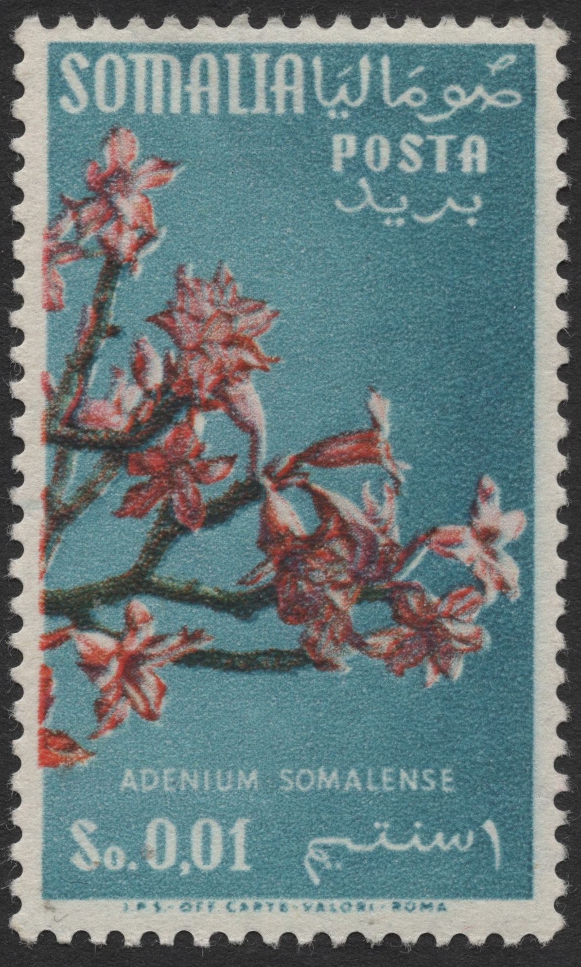 SCG1391 - Somalia 0.01 So. Adenium somalense Stamp – Desert Rose