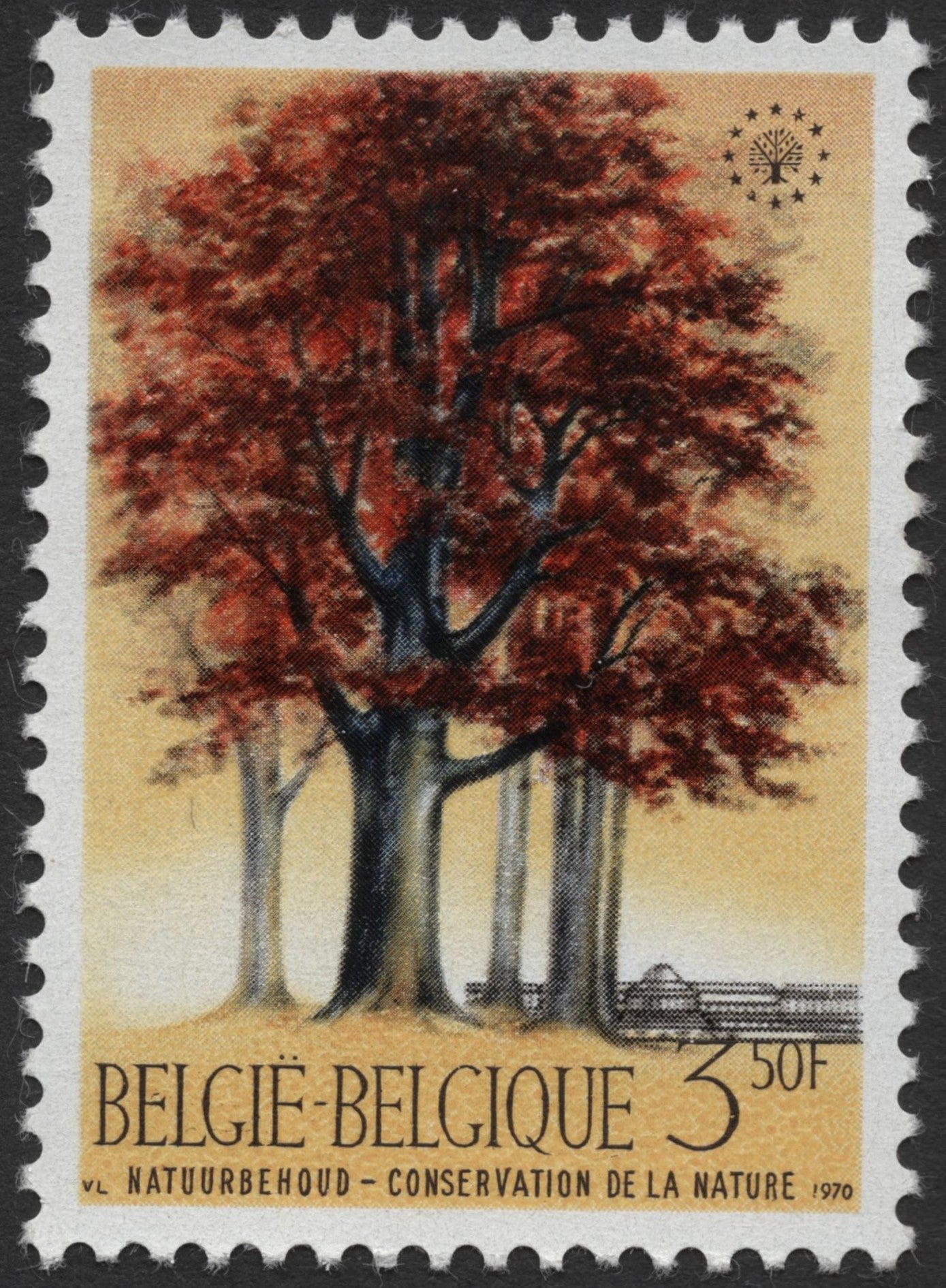 SCG1393 - Belgium 1970 Nature Conservation Stamp – Red Beech Tree (3.50F)