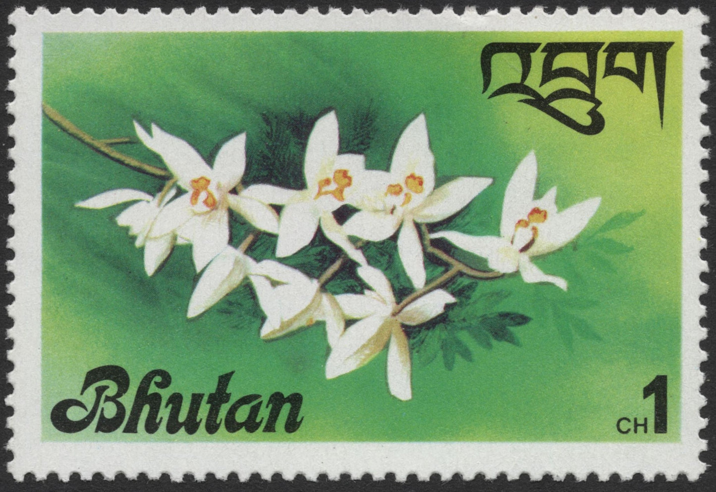 SCG1383 - Bhutan Orchid Stamp – 1 Chhertum