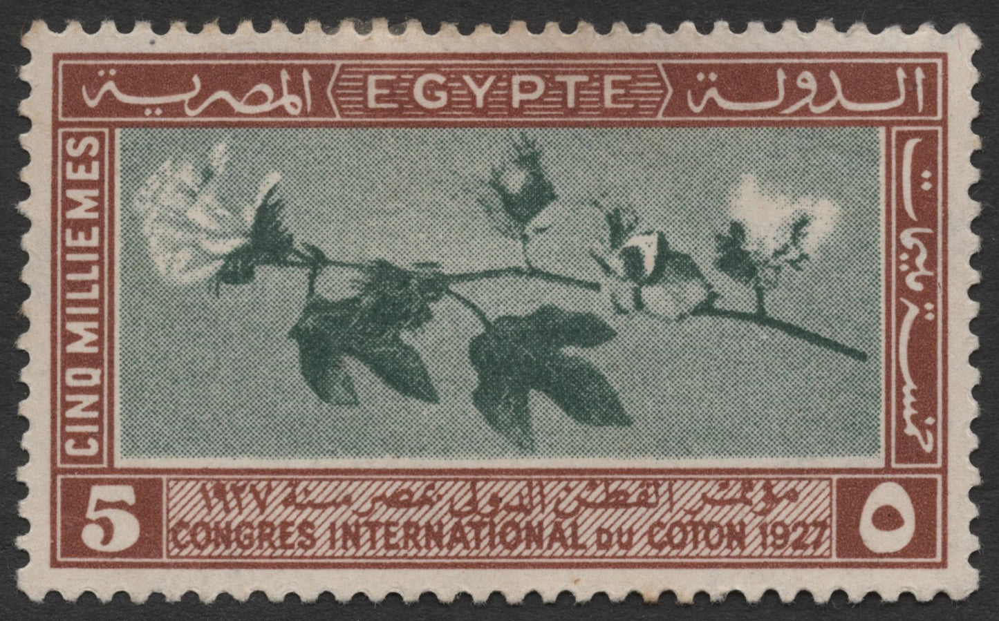 SCG1404 - Egypt 1927 – International Cotton Congress