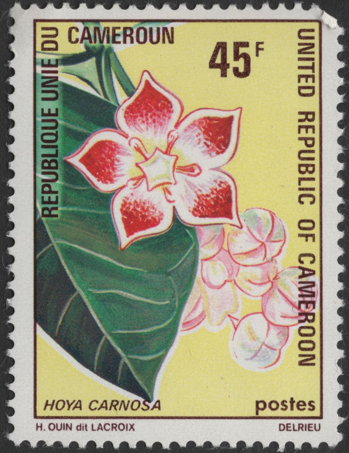 SCG1406 - Cameroon – Hoya Carnosa Flower Stamp