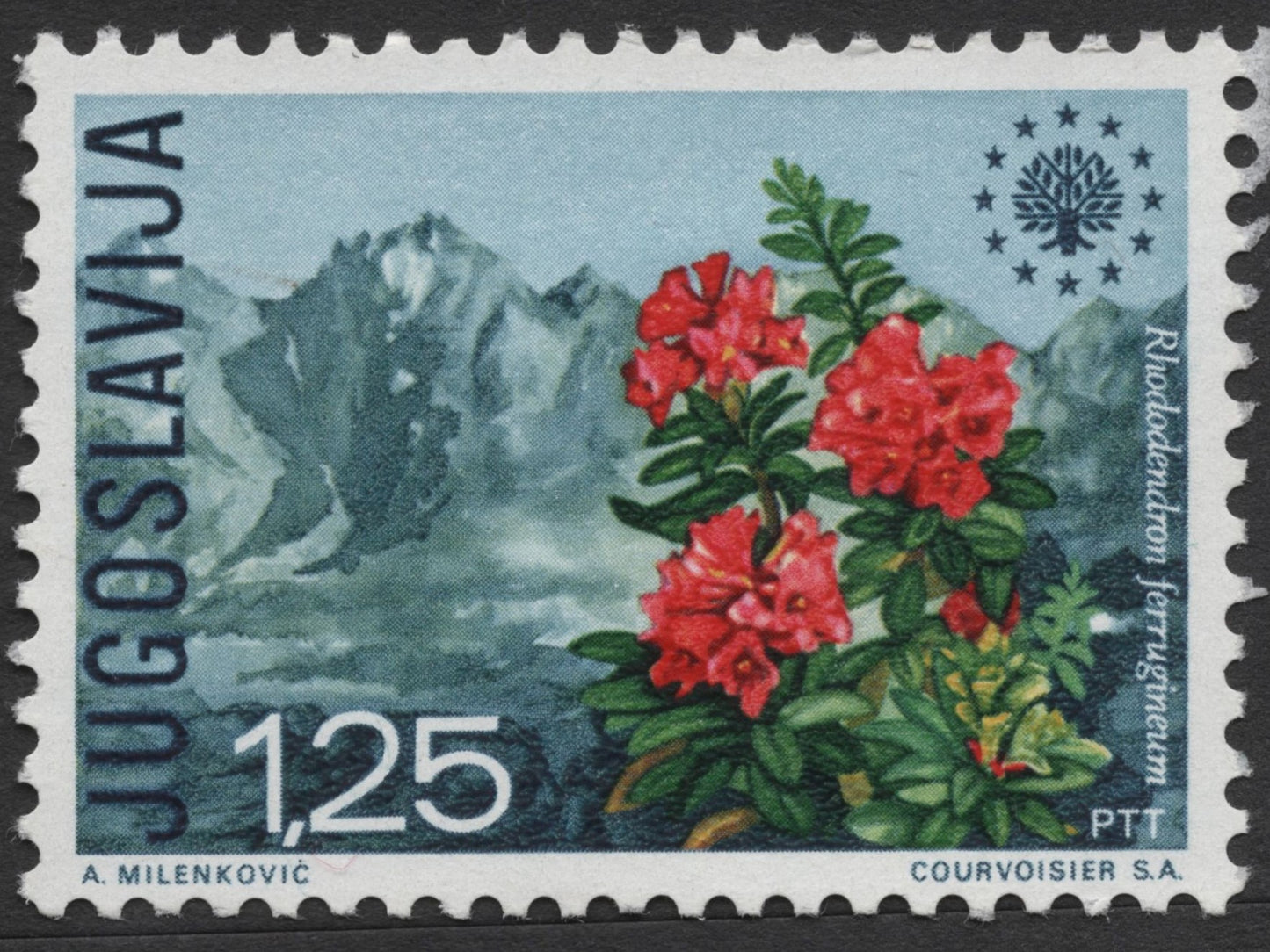 SCG1397 - Alpine Rose – Europa 1980, Yugoslavia