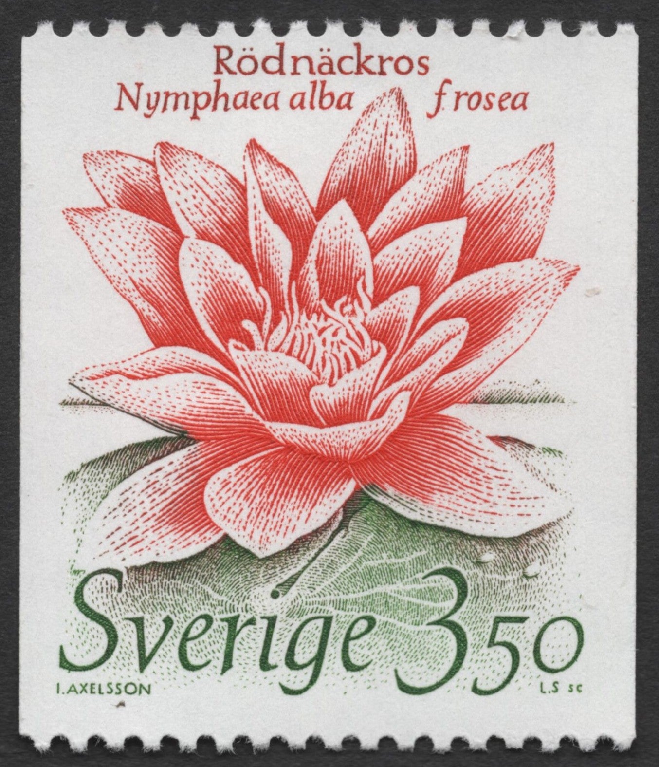 SCG1399 - Red Water Lily – Sweden Botanical Issue