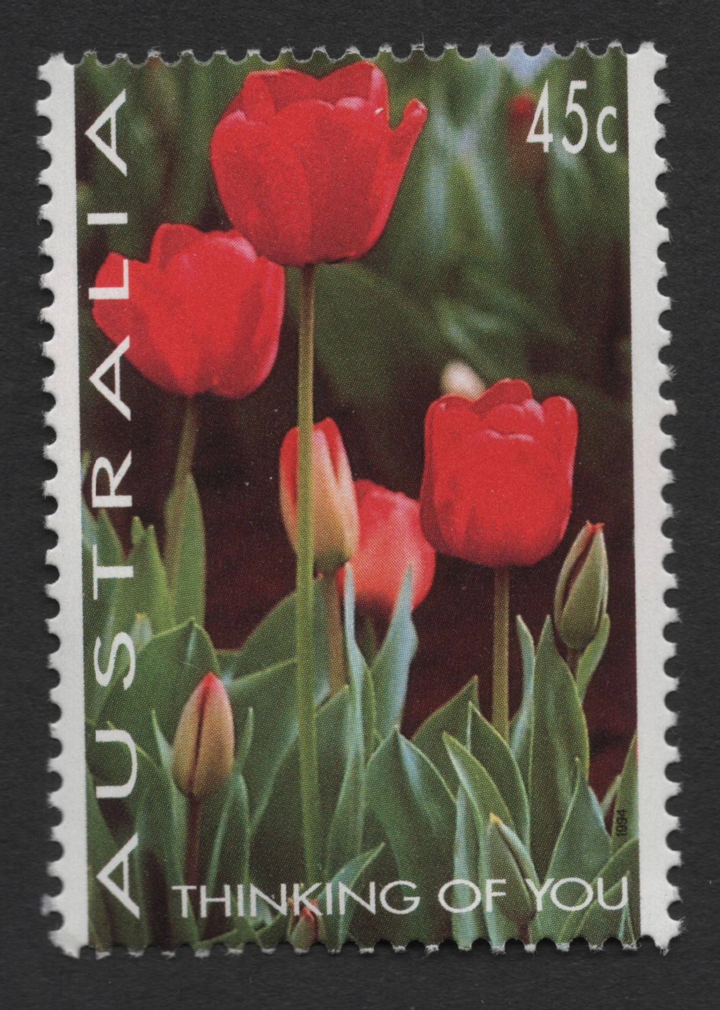 SCG1410 - Australia – Red Tulip "Thinking of You" Stamp