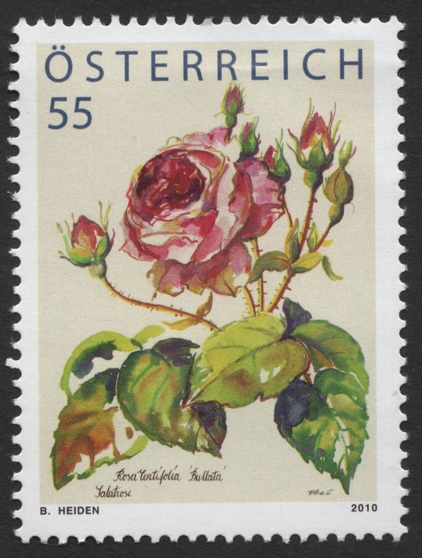 SCG1411 - Austria – Rosa Centifolia Botanical Rose Stamp