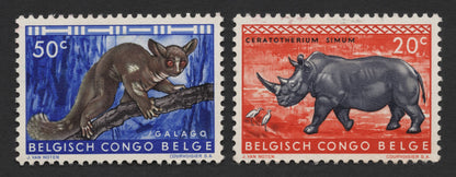 SCG1434 - Wildlife of Belgian Congo – Galago & White Rhinoceros