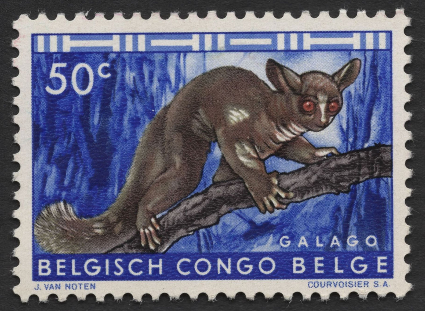 SCG1434 - Wildlife of Belgian Congo – Galago & White Rhinoceros