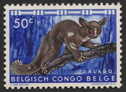 SCG1434 - Wildlife of Belgian Congo – Galago & White Rhinoceros
