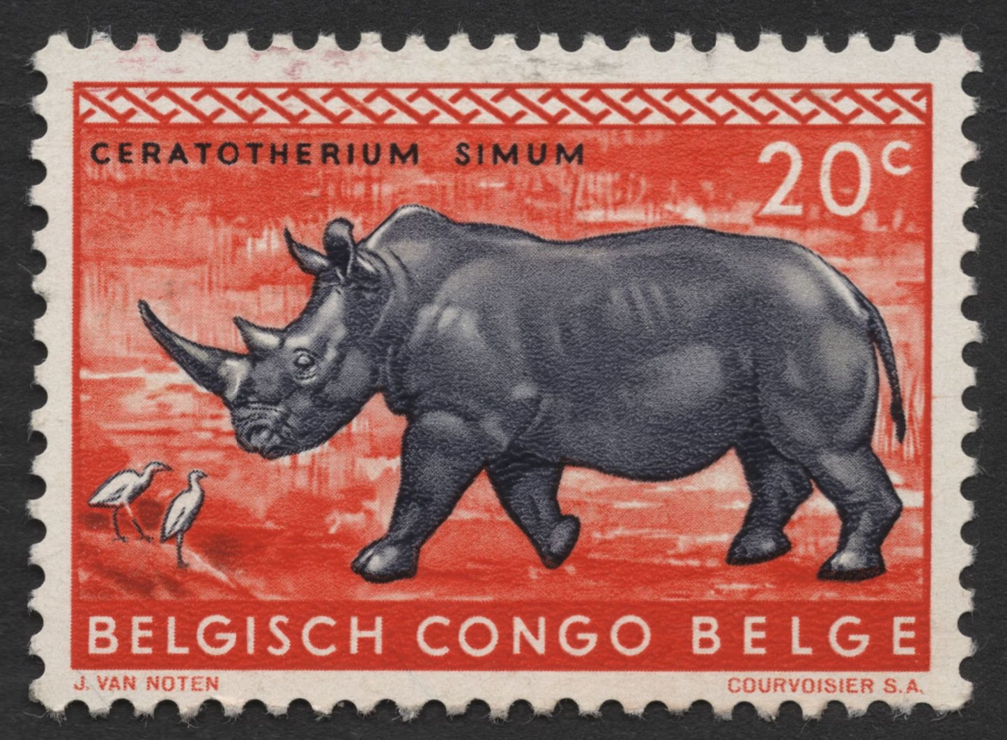 SCG1434 - Wildlife of Belgian Congo – Galago & White Rhinoceros