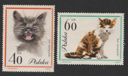 SCG1418 - Poland – European Cats Series