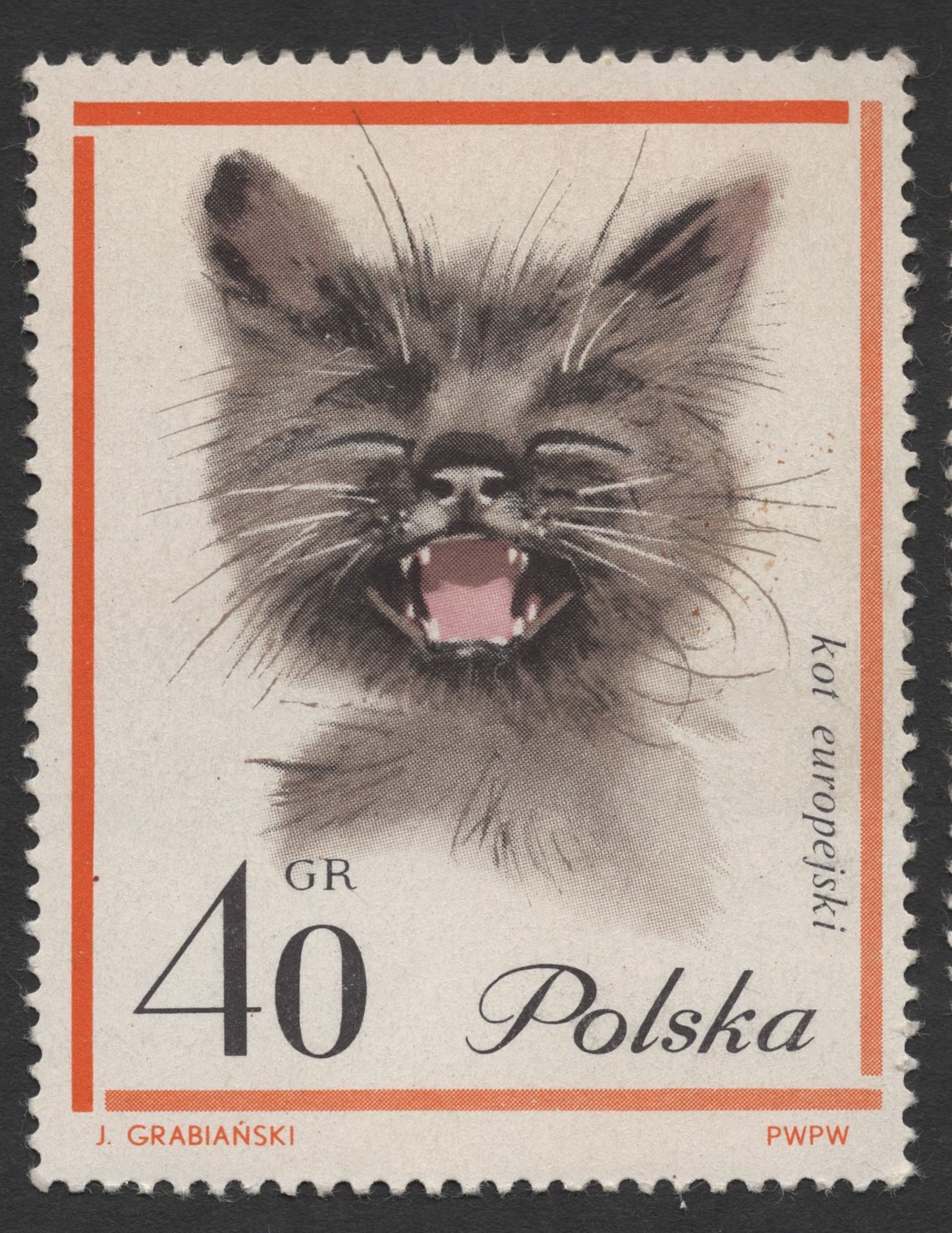 SCG1418 - Poland – European Cats Series