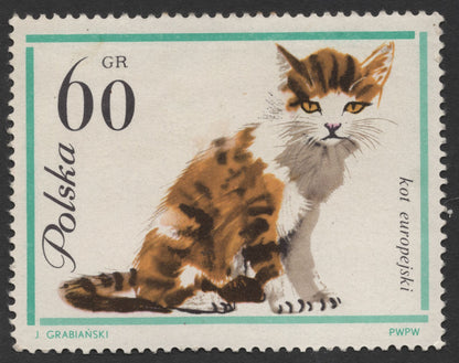 SCG1418 - Poland – European Cats Series