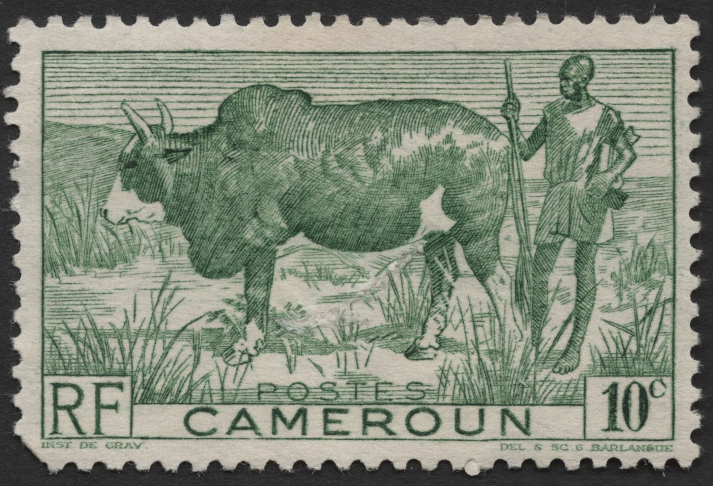 SCG1426 - French Cameroon – Cattle Herder and Oxen Stamp
