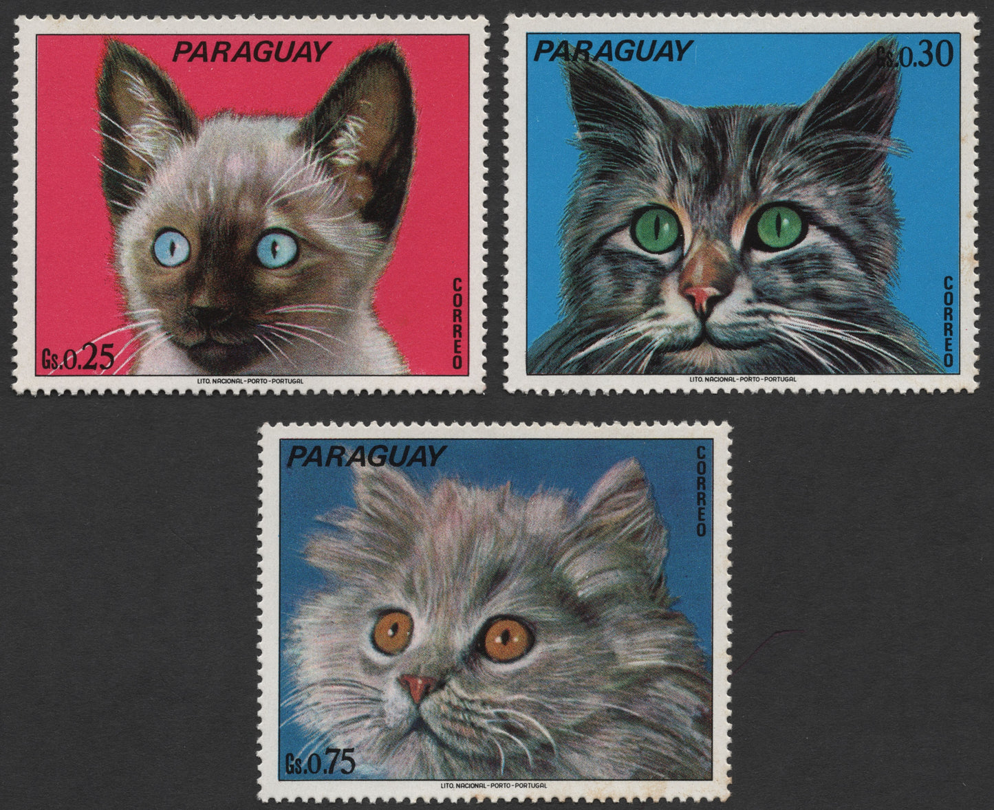 SCG1557 - Paraguay Feline Portraits Stamp Trio – 1970s Colorful Issue