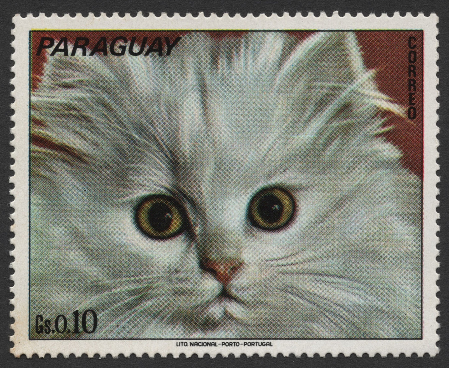 SCG1558 - 1970s Paraguay Kitten Series – Set of 4 Stamps