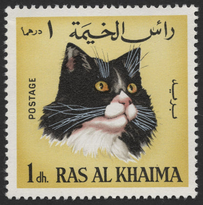 SCG1556 - Ras Al Khaimah Feline Series – Trio of Cat Portraits in Dh Series