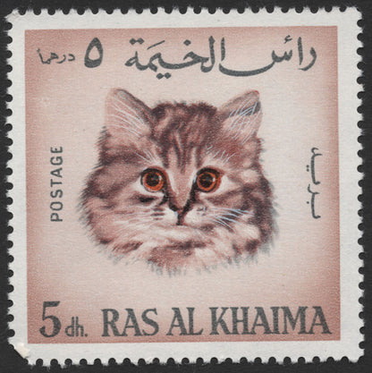 SCG1556 - Ras Al Khaimah Feline Series – Trio of Cat Portraits in Dh Series