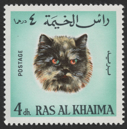 SCG1556 - Ras Al Khaimah Feline Series – Trio of Cat Portraits in Dh Series