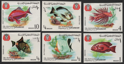 SCG1672 - Yemen Marine Fish Set – The Mutawakelite Kingdom