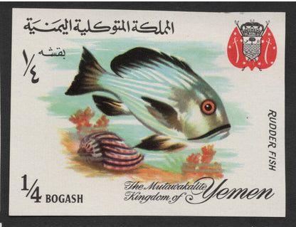SCG1672 - Yemen Marine Fish Set – The Mutawakelite Kingdom