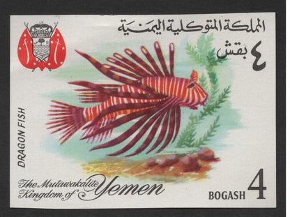 SCG1672 - Yemen Marine Fish Set – The Mutawakelite Kingdom