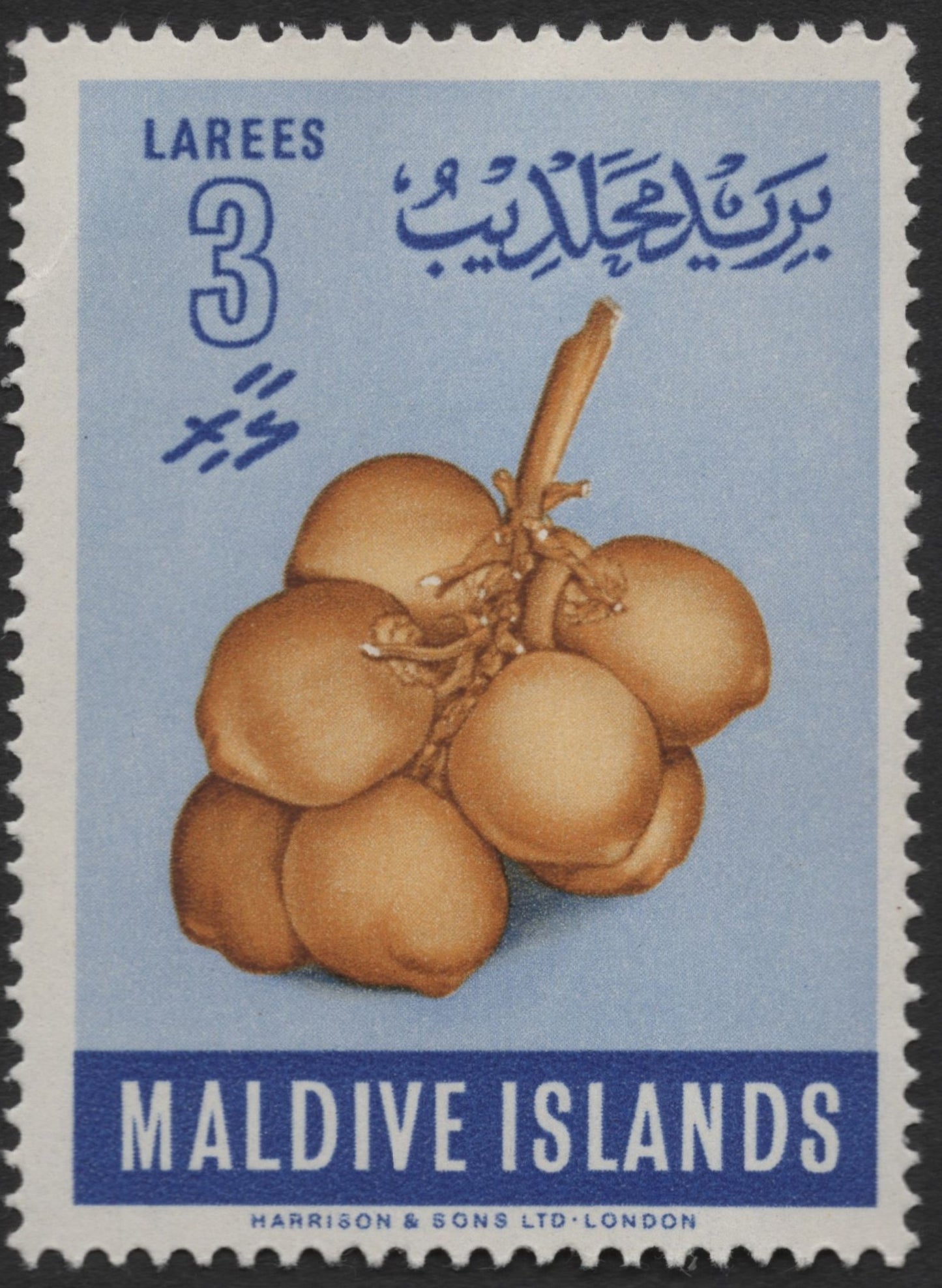 SCG1969 - Maldives 3 Larees Fruit Stamp – Betel Nut Cluster