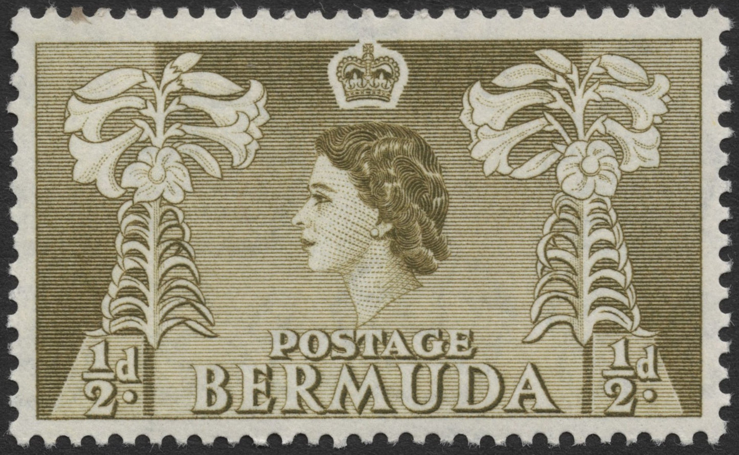 SCG2023 - Bermuda ½d Queen Elizabeth II & Easter Lilies Stamp (1953–1960s)