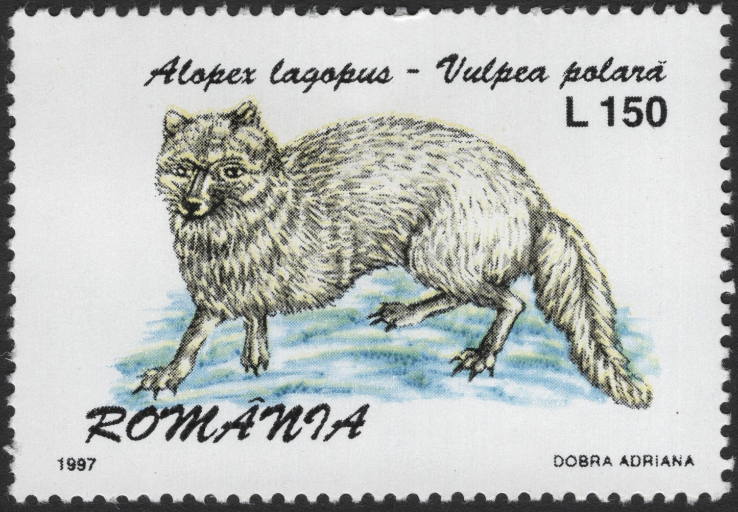 SCG2505 - Romania 1997 Arctic Fox Stamp – L150