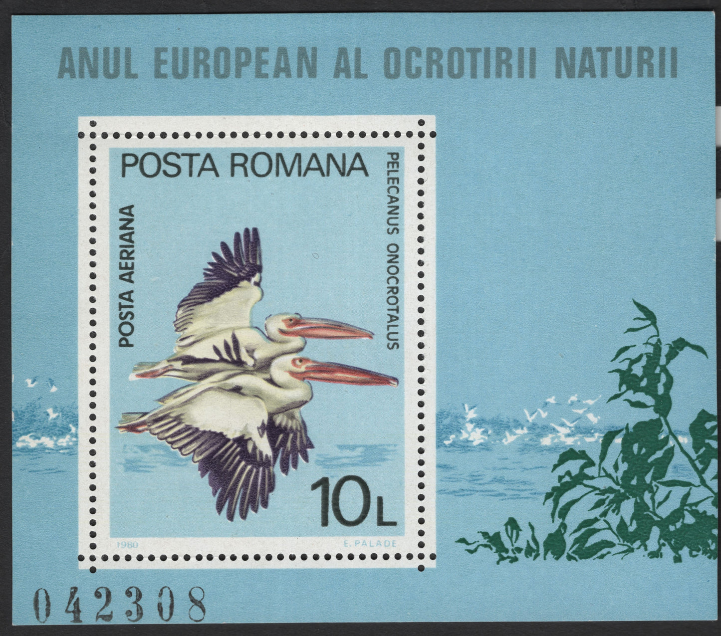 SCG2892 - 1980 Romania Miniature Sheet – Great White Pelicans | European Nature Conservation Year