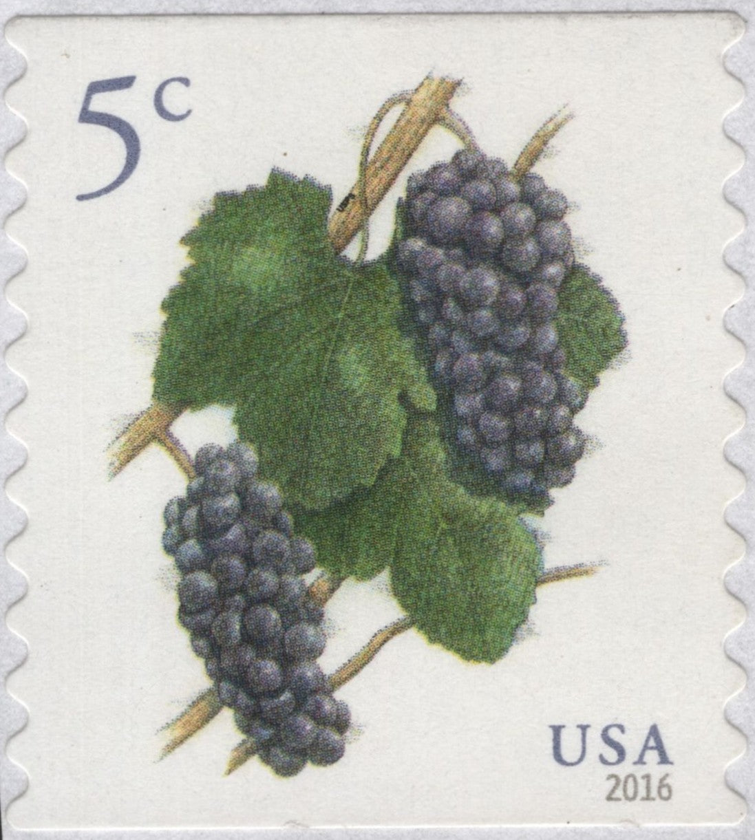 SCG2923 - USA 2016 Grapes Definitive Stamp – 5¢