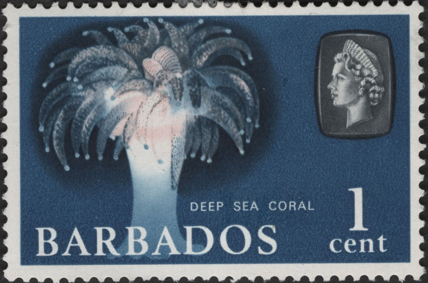 SCG3025 - Barbados 1c Deep Sea Coral Stamp (Queen Elizabeth II Era)
