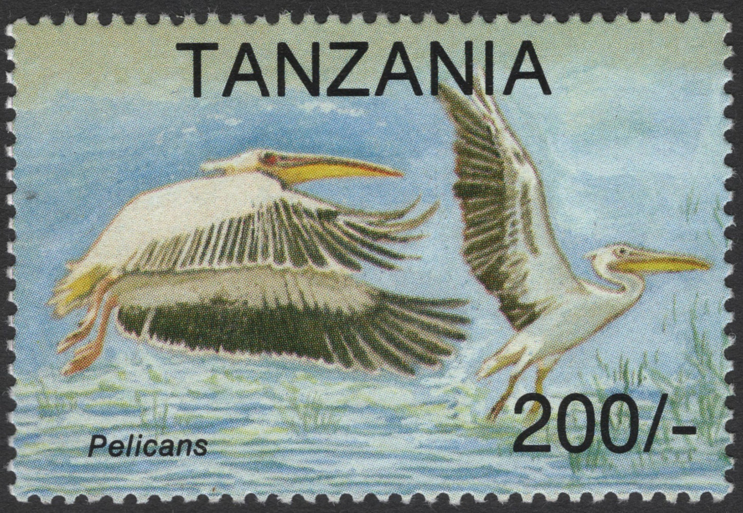 SCG3110 - Tanzania 200 Shillings – Pelicans Stamp